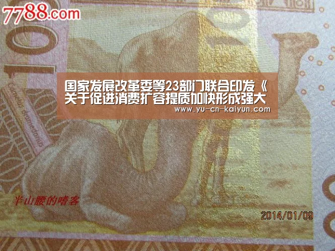 国家发展改革委等23部门联合印发《关于促进消费扩容提质加快形成强大国内市场的实施意见》‘开云’(图2)