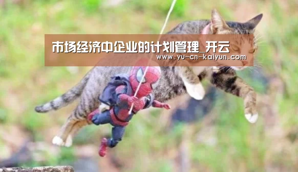 市场经济中企业的计划管理_开云